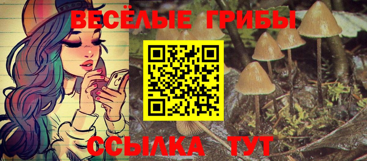 Киржач  Псилоцибиновые грибы прущие грибы  Вход с VPN 