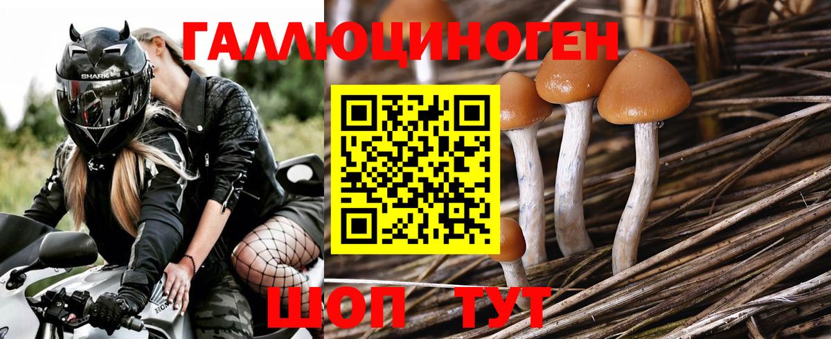 Галлюциногенные грибы GOLDEN TEACHER Киржач